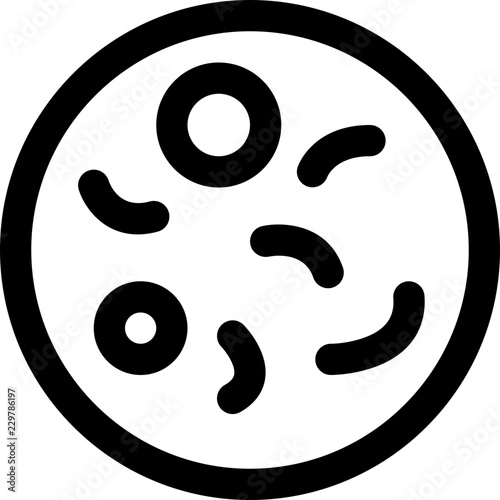 Infectious bacteria cell