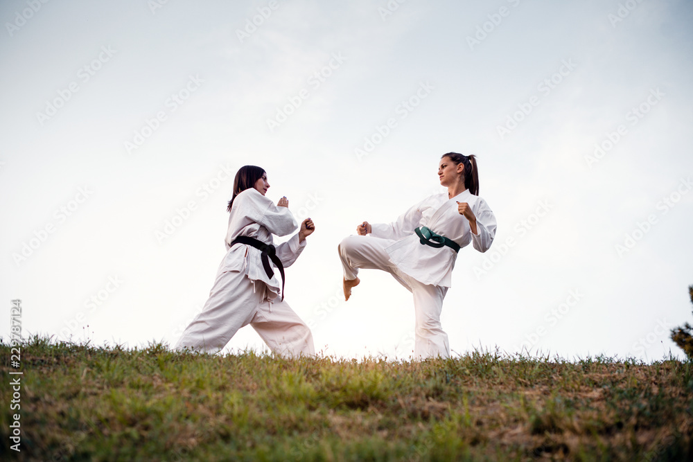 Martial artists training on top hill at sunset. Martial artists training on top hill at sunset.