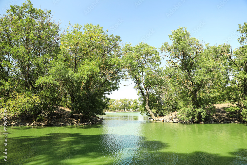 Picturesque view of pond on sunny day