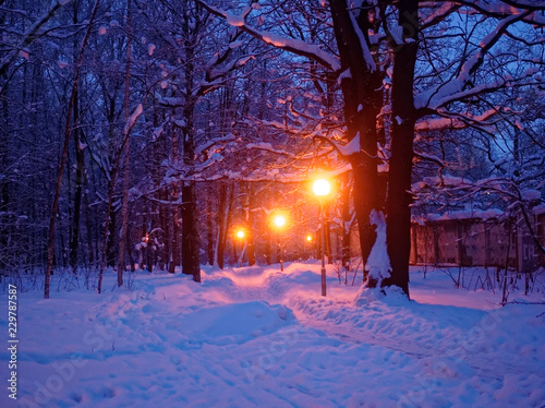 street light at night in winter