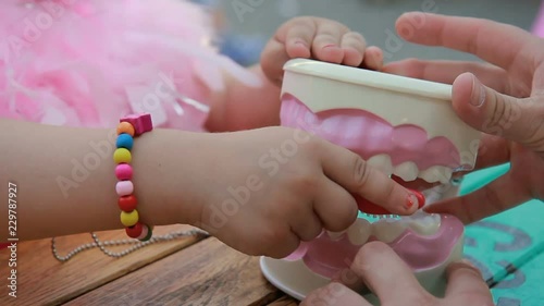 Dentist cleaning jaw model with toothbrush, teaching dental care, close up photo