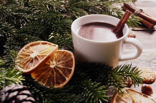 Hot chocolate or cocoa with cinnamon stick in a cup and fir branches. Winter hot drink for cold weather. New year and Christmas concept