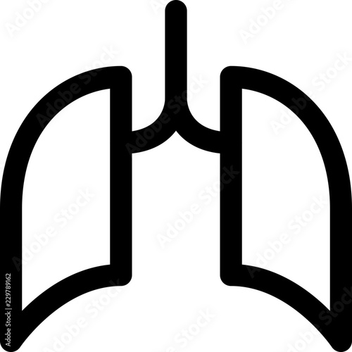 Lungs respiratory organ