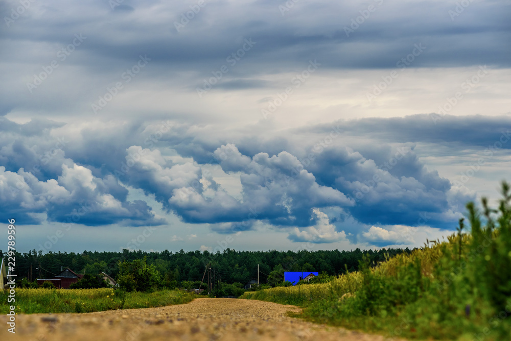 Fototapeta premium storm clouds over the forest