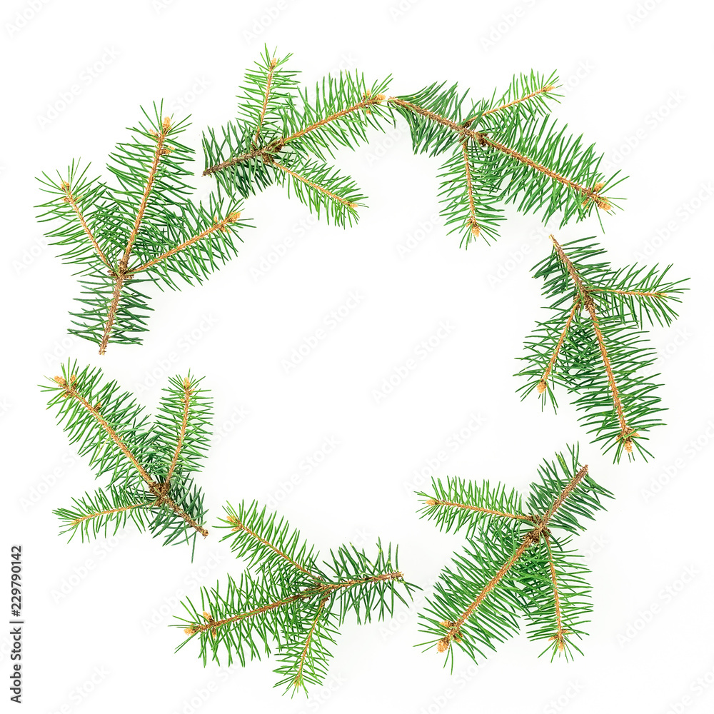 Christmas frame made of winter trees branches on white background. Flat lay, top view Christmas frame made of winter trees branches on white background. Flat lay, top view