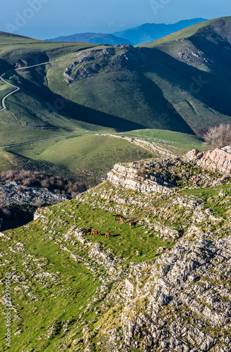 France, Pyrenees Atlantiques, Basque Country, Iraty massif, limestone pavement and free horses photo