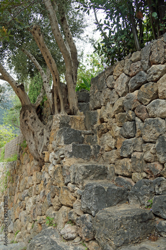 Spanien, Balearen,  Mittelmeer, Mallorca, Deia, Balearen