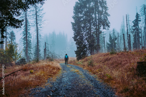 fog in forest © TravelKett