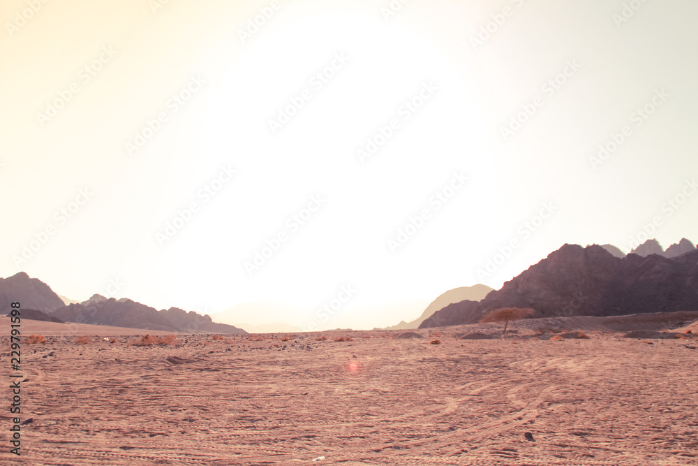 Fototapeta premium Desert in Egypt. Sharm el Sheikh. Sand and Sand Borkhan. Rock and sunset.