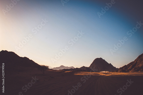 Desert in Egypt. Sharm el Sheikh. Sand and Sand Borkhan. Rock and sunset.