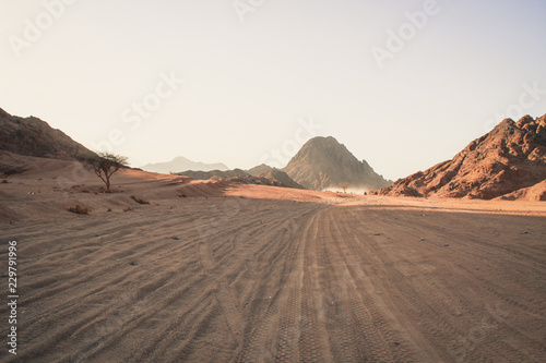 Desert in Egypt. Sharm el Sheikh. Sand and Sand Borkhan. Rock and sunset.