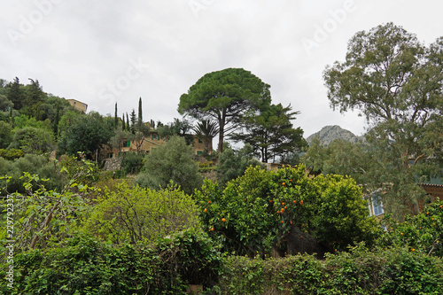 Spanien, Balearen,  Mittelmeer, Mallorca, Deia, Balearen