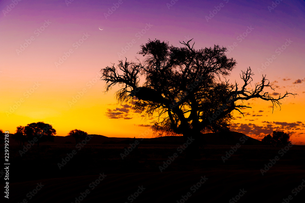 A beautiful sunset, Sossusvlei, Namibia.
