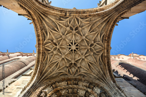 Cathedral Saint-Cecile, Albi, France