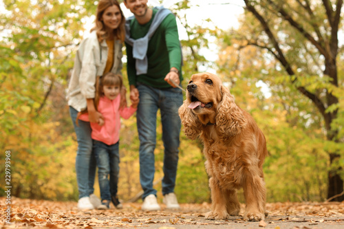 Happy family with child and dog in park. Autumn walk
