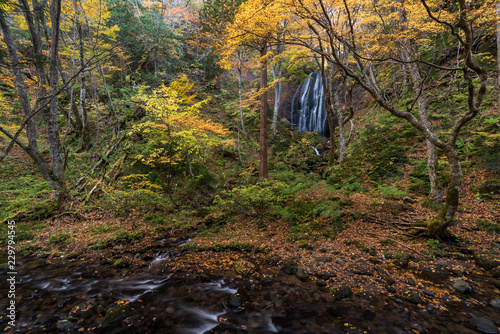 Tatsuzawafudo Waterfall Fukushima photo