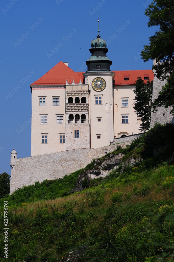 Historic Pieskowa Skala (Little Dog's Rock) Castle near Krakow in Poland July 2018