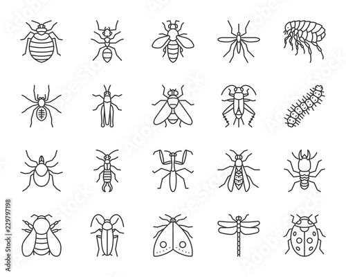 Danger Insect simple black line icons vector set