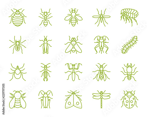 Danger Insect simple color line icons vector set
