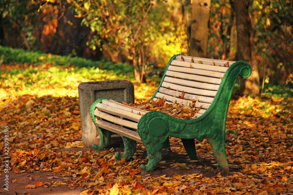 bench with fallen leaves in the autumn park