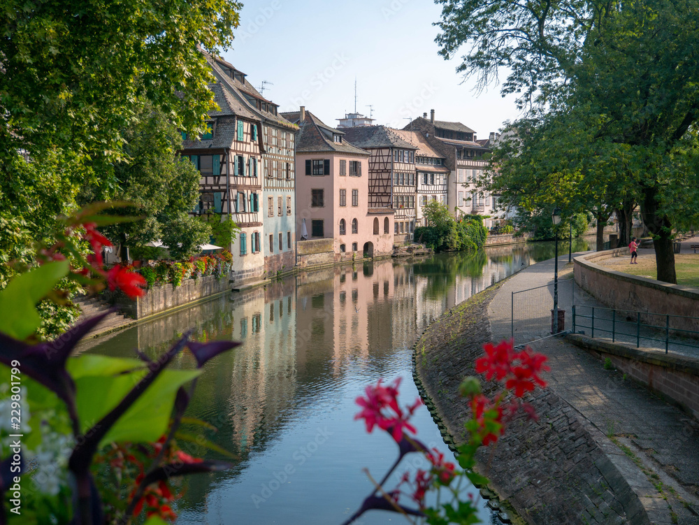 Old classic houses in the traditional fachwerk architectural style reflecting in the water of the canals of Strasbourg, France, with flowers in front of them