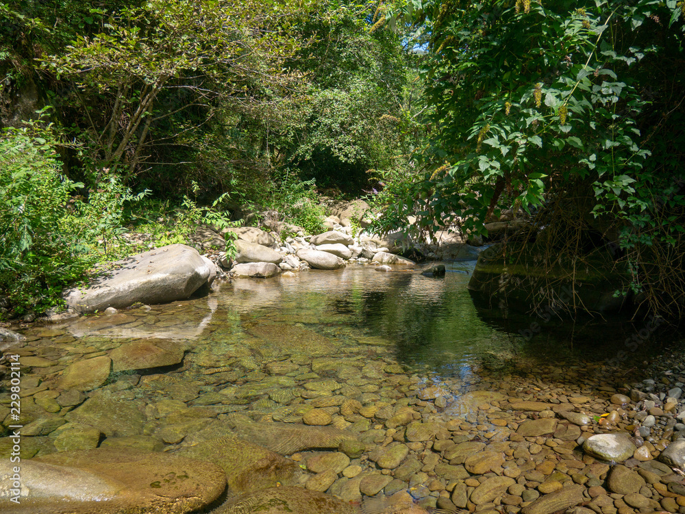 Reflections on the surface of a rocky stream in a forest flowing between large stones and building shallow pools of water, quiet and relaxing in the sunny wilderness during summer