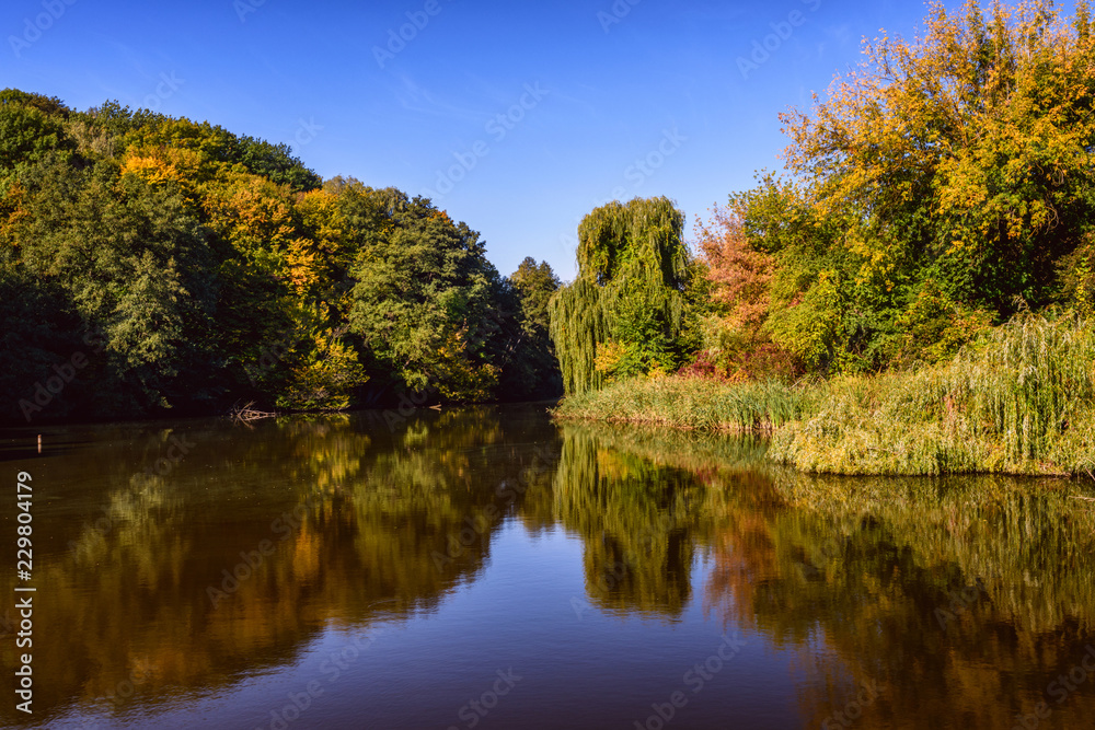 Bright Autumn in the Kytaevo monastery park, Kyiv, Ukraine Bright Autumn in the Kytaevo monastery park, Kyiv, Ukraine