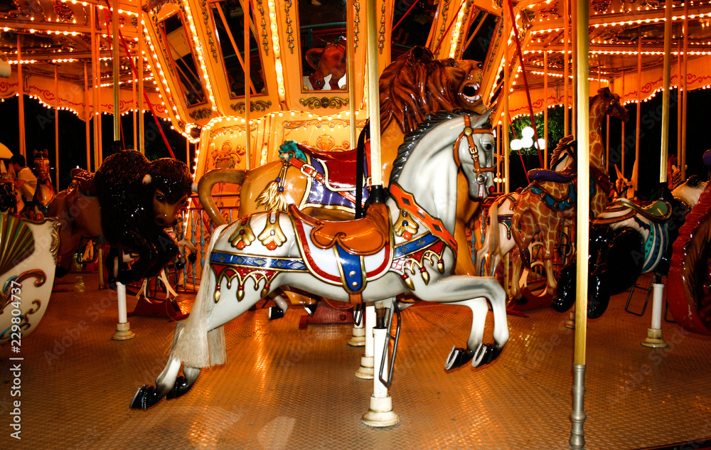 an old carousel with horses and other animals in an amusement park. night time.Merry-go-round with horses.
