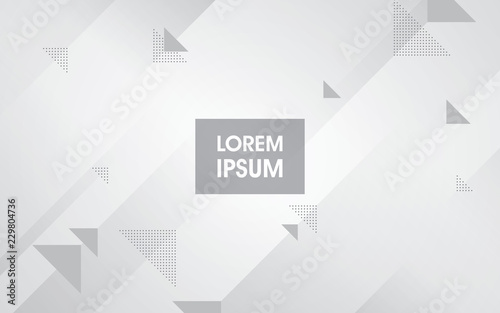 Abstract geometric white and gray background vector
