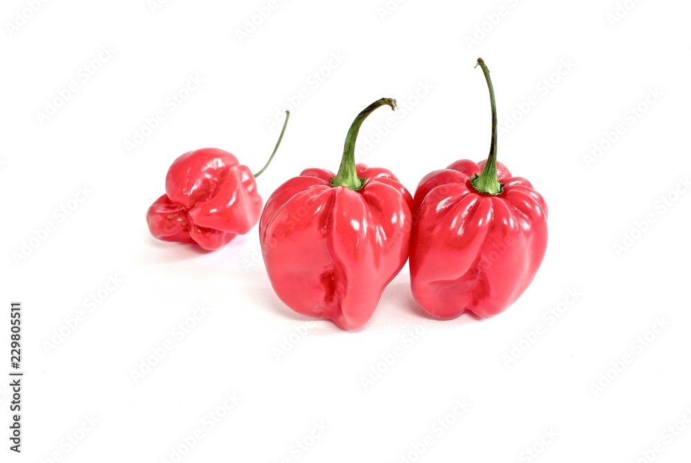 red hot chili peppers isolated on white background red hot chili peppers isolated on white background