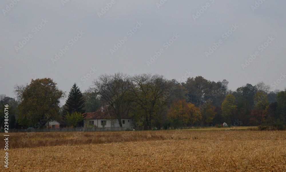 autumn landscape in the village
