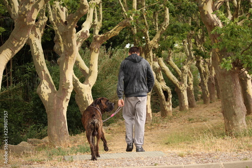 promenade avec chien © canecorso