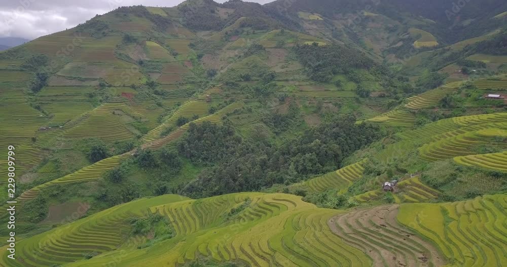 Aerial view of Vietnam landscapes. Rice fields on terraced of Mu Cang Chai, YenBai. Royalty high-quality free stock footage of beautiful terrace rice fields prepare the harvest at Northwest Vietnam Aerial view of Vietnam landscapes. Rice fields on terraced of Mu Cang Chai, YenBai. Royalty high-quality free stock footage of beautiful terrace rice fields prepare the harvest at Northwest Vietnam