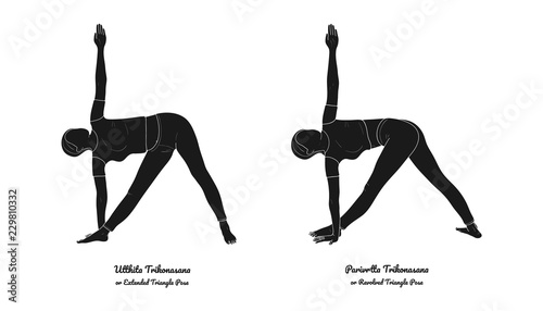 Utthita Trikonasana or Extended Triangle Pose and Parivrtta Trikonasana or Revolved Triangle Pose. Vector. Vector.