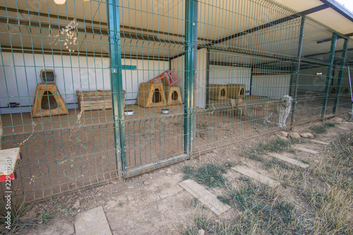 canine residence facilities