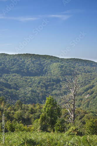 The mountains landscape