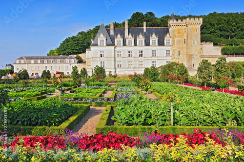 Villandry Castle with garden Indre-et-Loire Centre France. photo