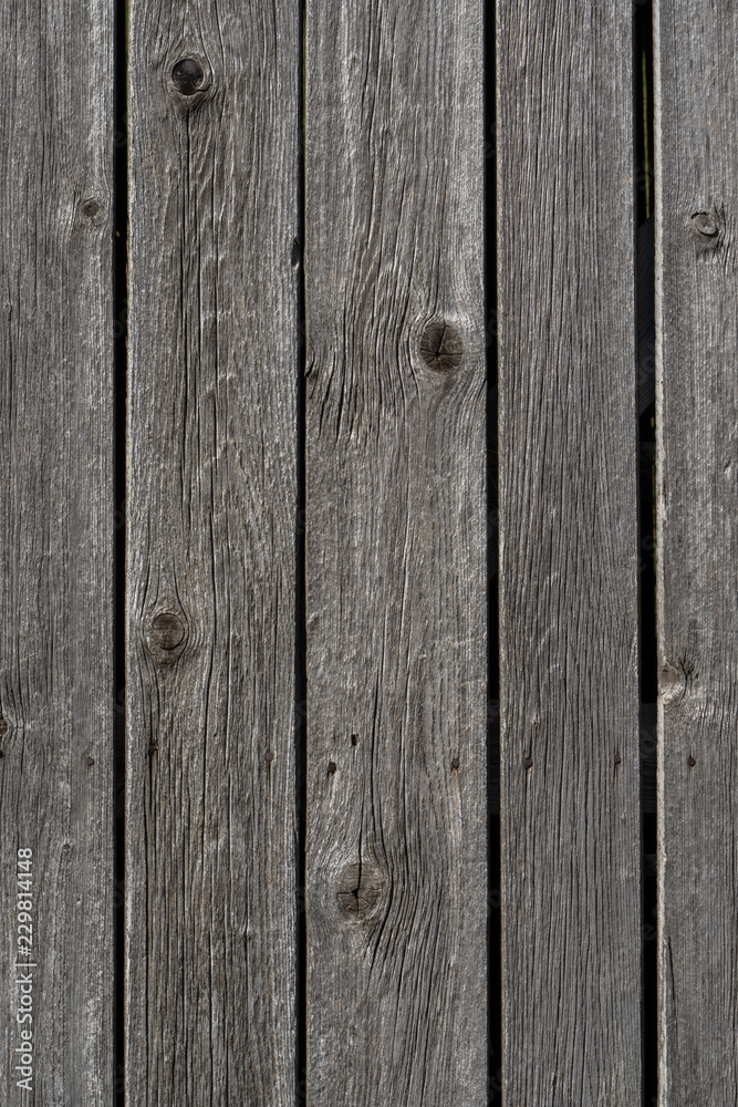 wooden door texture wooden door texture