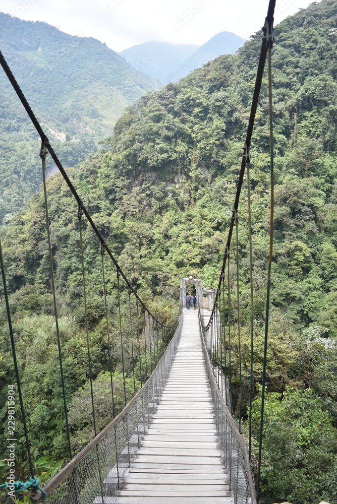 Obraz premium Puente colgante en Ecuador