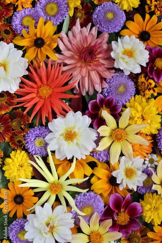 Beautiful floral background. Greeting card concept. © MaskaRad
