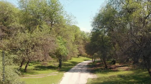 Arslanbob Is a Valley, Mountain Range, and a Large Wild Walnut (Juglans Regia) Forest in Jalal-abad Province of Western Kyrgyzstan. Here, the Trees Can Reach a Height of 30 Meters .Arial Dron Shoot.