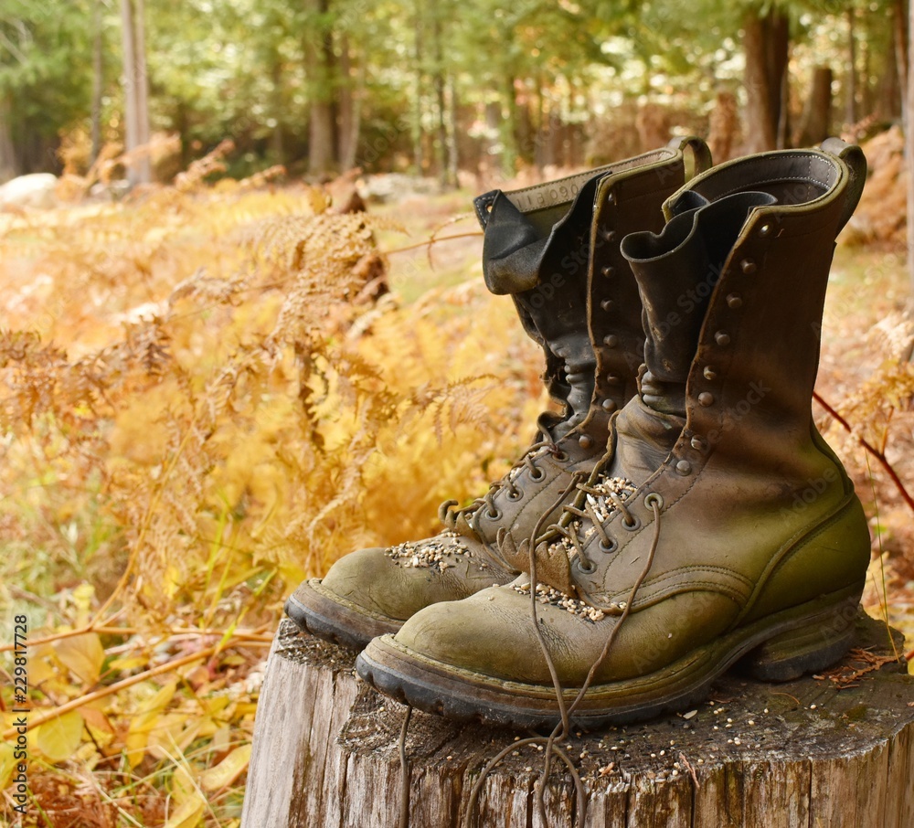 Bird feeder work boots sitting on tree stump Photos | Adobe Stock