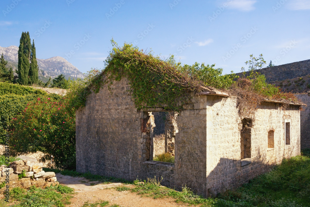 Old destroyed building. Montenegro, Herceg Novi city, ancient fortress of Spanjola Old destroyed building. Montenegro, Herceg Novi city, ancient fortress of Spanjola