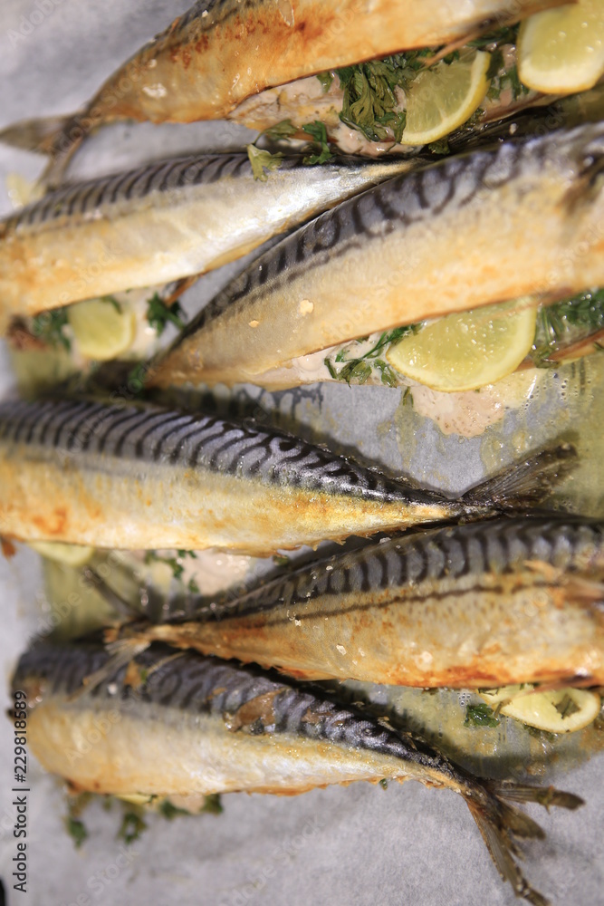 Mackerel baked Mackerel baked