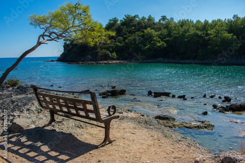 empty bench on coast of sea. beautiful landscape, sunny day on phaselis beach in antalya, turkey  © Maciej