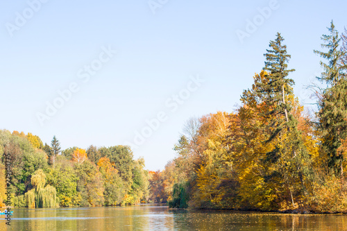 Lake and trees in autumn park