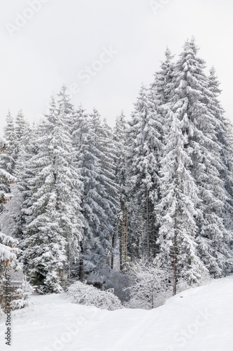 Paesaggio invernale montano © Mik76