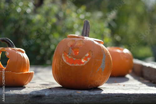 Quadro em tela Halloween-Kürbisse
