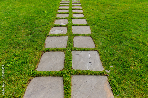 cement garden path through the lawn. background of the grey pathway and green grass
