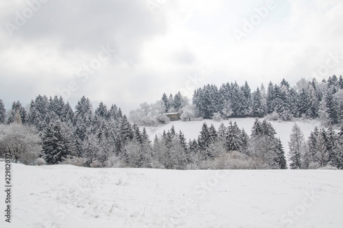 Paesaggio invernale montano photo